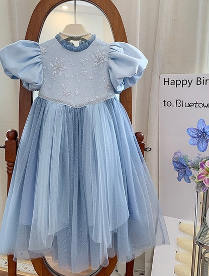 Blue Princess Puff Sleeve Gown