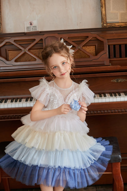 Bluebell Dream Multi-layer Party Tulle Dress