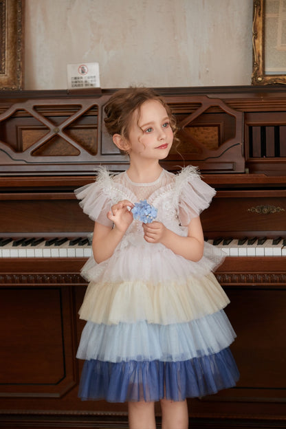 Bluebell Dream Multi-layer Party Tulle Dress