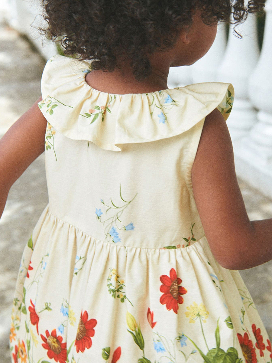 Floral Print Dress with Ruffle Collar