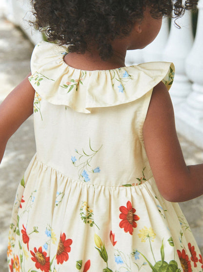 Floral Print Dress with Ruffle Collar